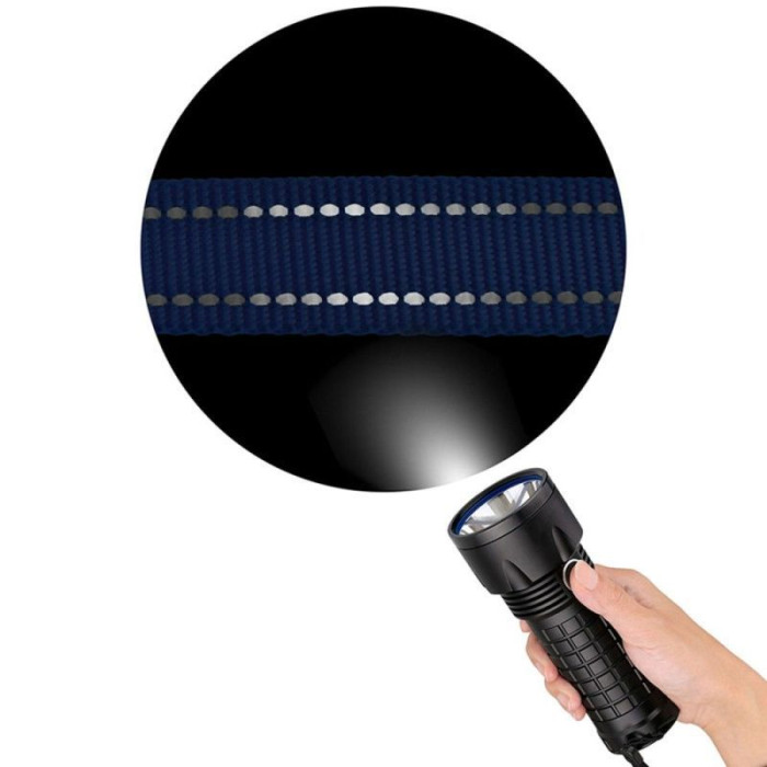 Нейлоновий нашийник для собак Active зі світловідбиттям, бірюзовий S 25-33 см