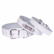 Ошейник для собак кожаный "Весна" Белый, 3XS 18-25 см