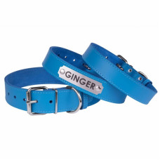 Ошейник для собак кожаный "Весна" Голубой, 3XS 18-25 см