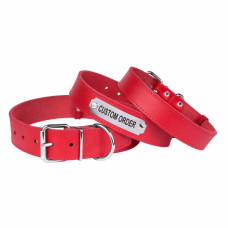 Нашийник для собак шкіряний "Весна" Червоний, 3XS 18-25 см 