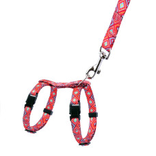 Шлея с поводком для котов и мелких собак BronzeDog Urban Гуцульская, Красная 2XS