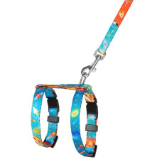 Шлея с поводком для кошек и мелких собак BronzeDog Urban Cosmos Голубая 2XS