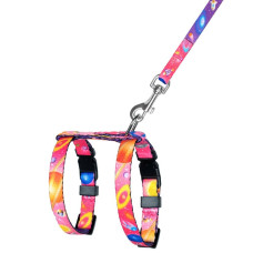 Шлея с поводком для кошек и мелких собак BronzeDog Urban Cosmos Розовая 2XS