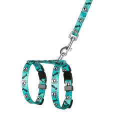 Шлея с поводком для кошек и мелких собак BronzeDog Urban Черепа Бирюзовая 2XS