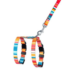 Шлея с поводком для кошек и мелких собак BronzeDog Urban West Красная 2XS