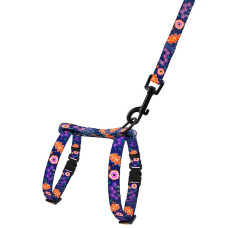 Шлея с поводком для котов и мелких собак BronzeDog Urban Folk, Синяя 2XS