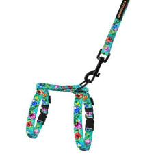 Шлея с поводком для котов и мелких собак BronzeDog Urban Folk, Ментоловая 2XS