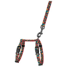 Шлея с поводком для кошек и мелких собак BronzeDog Urban Art Витраж 2XS 15-25 см