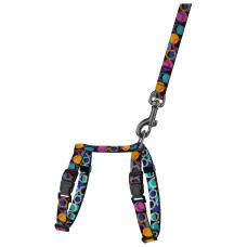 Шлея с поводком для кошек и мелких собак BronzeDog Urban Art Диско 2XS 15-25 см