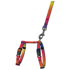 Шлея с поводком для кошек и мелких собак BronzeDog Urban Art Градиент 2XS 15-25 см