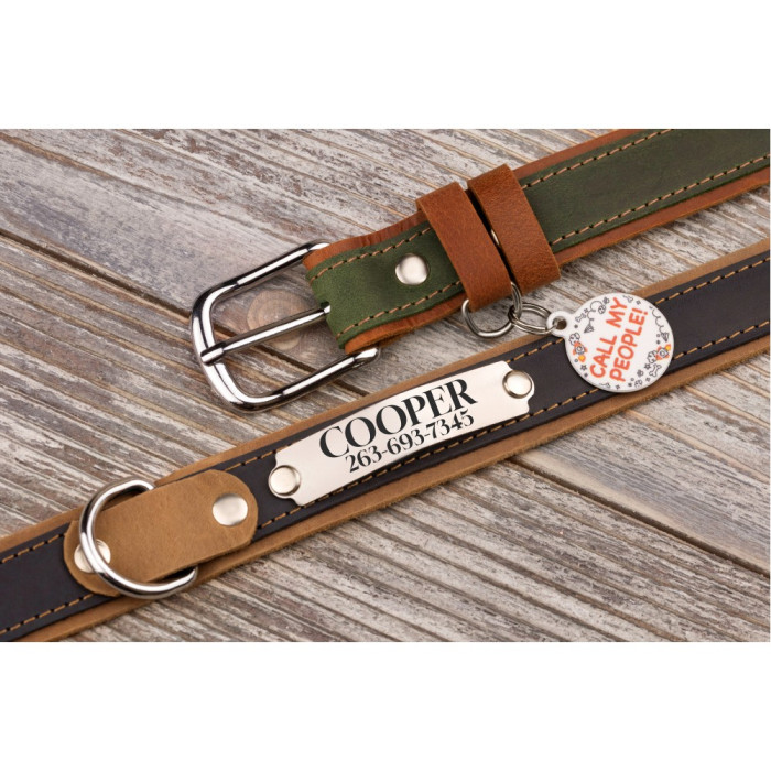 Ошейник для собак кожаный BronzeDog Crazy подклеенный Синий L 38-48 см