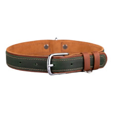 Ошейник для собак кожаный BronzeDog Crazy подклеенный Зеленый M 33-43 см