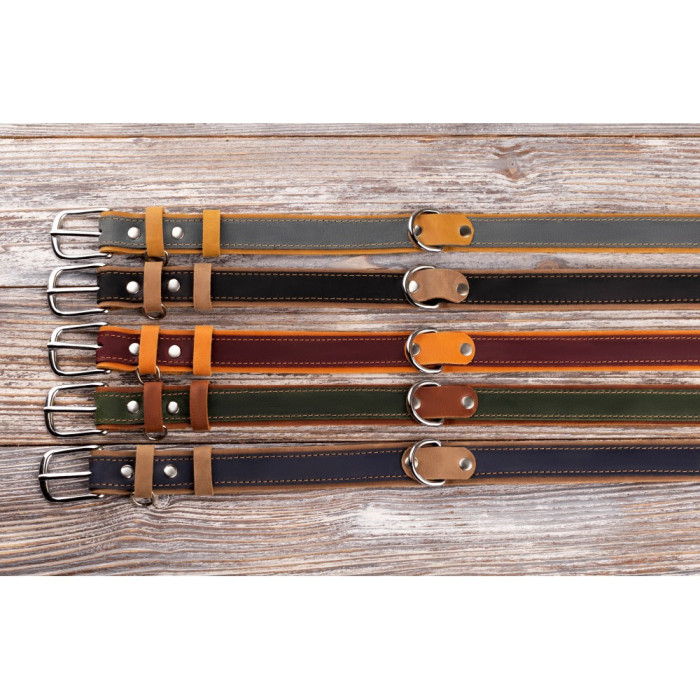 Ошейник для собак кожаный BronzeDog Crazy подклеенный Синий L 38-48 см