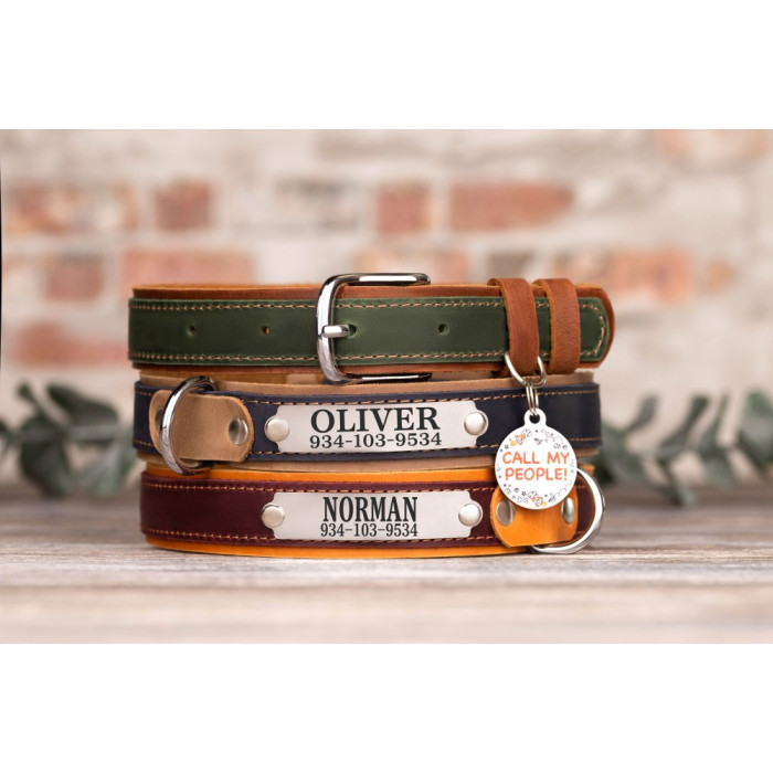 Ошейник для собак кожаный BronzeDog Crazy подклеенный Синий L 38-48 см