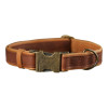 Нашийник для собак шкіряний підклеєний Коньяк M 30-43 см