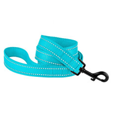 Поводок нейлоновый для собак Bronzedog Active, голубой со светоотражением, 152 см S 1,6 см