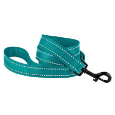 Поводок нейлоновый для собак Bronzedog Active, бирюзовый со светоотражением, 152 см L 2,5 см