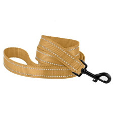 Поводок нейлоновый для собак Bronzedog Active, золотистый со светоотражением, 152 см L 2,5 см