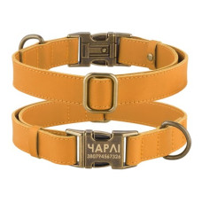 Ошейник для собак кожаный Antiq Голд S 25-33см