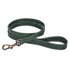 Поводок для собак кожаный BronzeDog Antiq Зеленый M 1.8см 153см