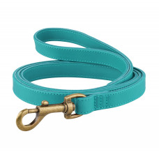 Поводок для собак кожаный BronzeDog Antiq Ментоловый S 1.2см 153см