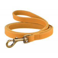 Поводок для собак кожаный BronzeDog Antiq Голд S 1.2см 153см