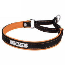 Ошейник-полуудавка для собак BronzeDog Premium со стальной фурнитурой и адресником, Черно-Оранжевый 