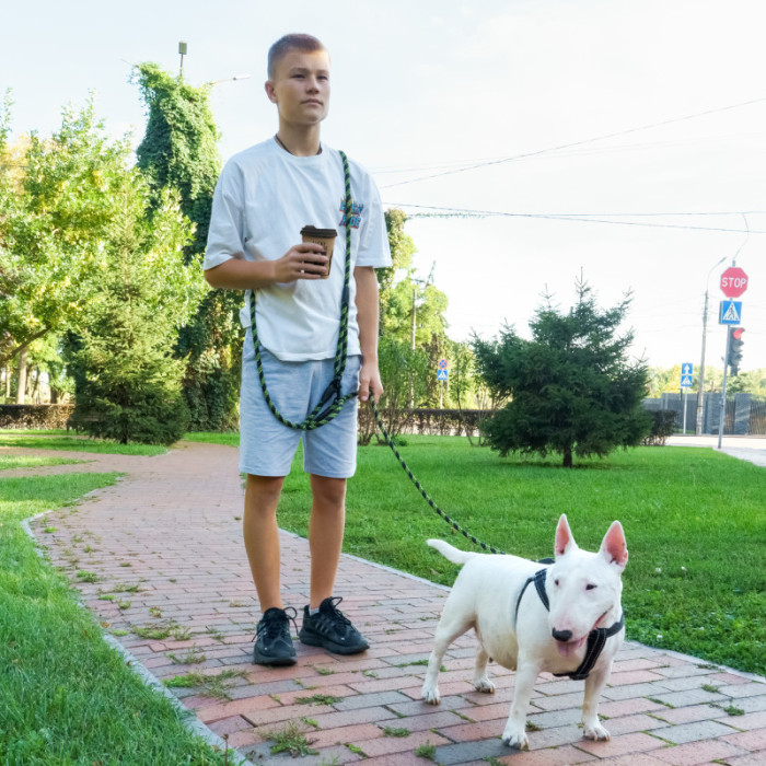 Повідець для собак світловідбивний "Вільні руки" Синій, L - 240 см / 9 см
