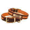 Нашийник для собак шкіряний Premium з литою латунною фурнітурою та адресником, Коричнево-Помаранчевий S 28-36 см