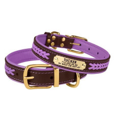 Ошейник для собак кожаный BronzeDog Premium с литой латунной фурнитурой и адресником, Коричнево-Фиолетовый S 28-36 см