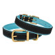 Кожаный ошейник для собак BronzeDog Premium с литой латунной фурнитурой и адресником, Черно-Голубой L 38-48 см