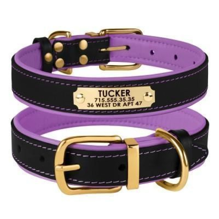 Кожаный ошейник для собак BronzeDog Premium с литой латунной фурнитурой и адресником, Черно-Фиолетовый M 33-43 см