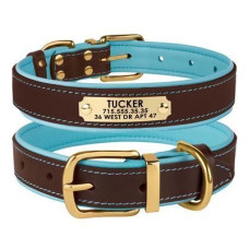 Шкіряний нашийник для собак Premium з литою латунною фурнітурою та адресником, Коричнево-Блакитний S 28-36 см