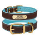 Шкіряний нашийник для собак Premium з литою латунною фурнітурою та адресником, Коричнево-Блакитний S 28-36 см
