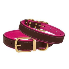 Кожаный ошейник для собак BronzeDog Premium с литой латунной фурнитурой и адресником, Коричнево-Розовый S 28-36 см