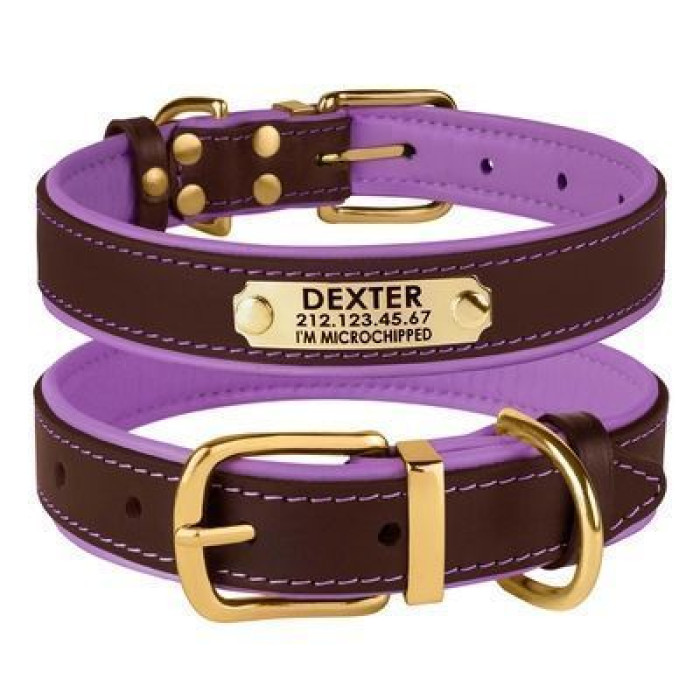 Шкіряний нашийник для собак Premium з литою латунною фурнітурою та адресником, Коричнево-Фіолетовий S 28-36 см