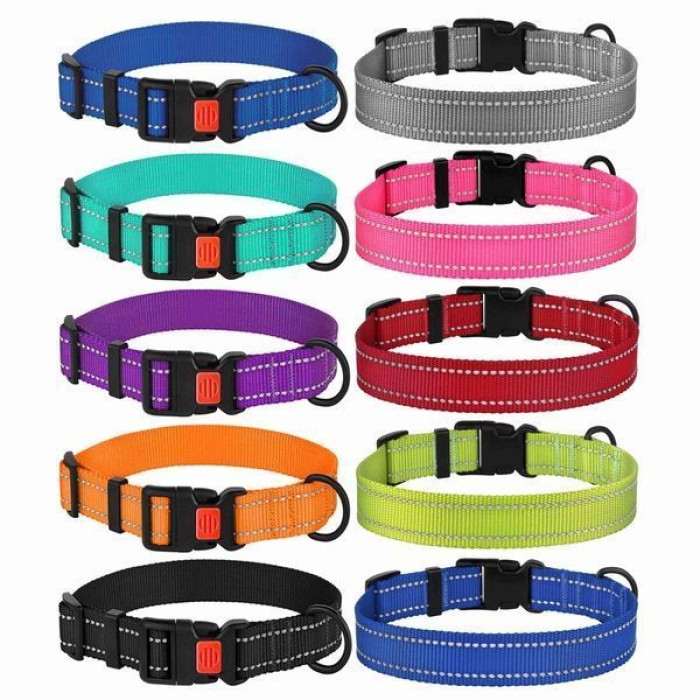 Нейлоновий нашийник для собак Active зі світловідбиттям, бірюзовий S 25-33 см