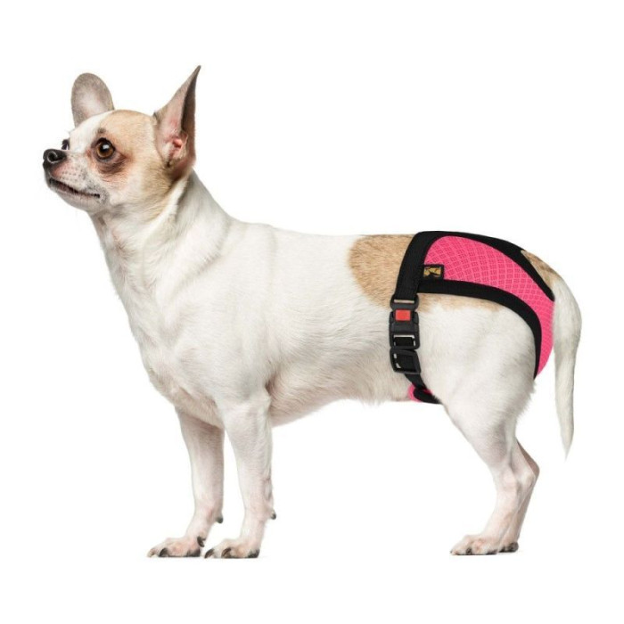 Трусы гигиенические Bronzedog Mesh регулируемые 3D сетка, Розовые M