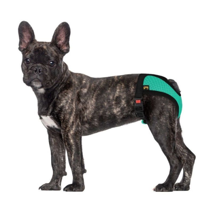 Трусы гигиенические Bronzedog Mesh регулируемые 3D сетка, Ментоловые S