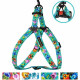 Шлея для собак BronzeDog Urban Folk нейлоновая c металлической фурнитурой, Ментоловая 2XS 24-30 см