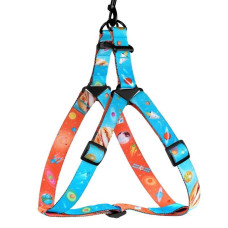 Шлея для собак BronzeDog Urban Cosmos нейлоновая, Голубая S 40-53 см