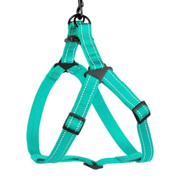 Нейлоновая шлея для собак BRONZEDOG ACTIVE, ментоловая со светоотражением S 40-53 см