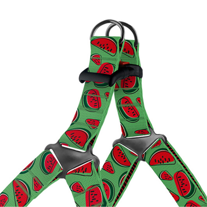 Шлея для собак BronzeDog Urban Fruits нейлоновая Арбуз, L 58-71 см