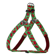 Шлея для собак BronzeDog Urban Fruits нейлоновая Арбуз, S 40-53 см