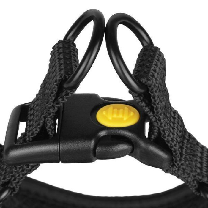 Шлея для собак мелких пород BronzeDog Sport, неопрен+3D сетка, Фиолетовая XS 20см 28-33 см