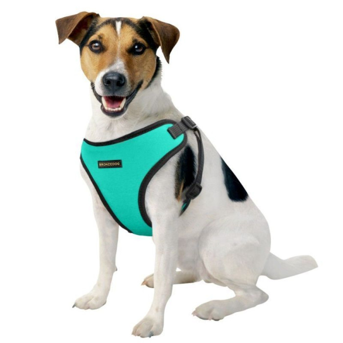 Шлея для собак мелких пород BronzeDog Sport, неопрен+3D сетка, Бирюзовая M 40-46 см