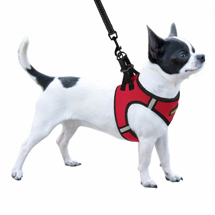 Шлея для собак Sport Vest неопрен 3D сітка, червона 3XS, 24см, 26 см