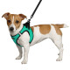 Шлея для собак Sport Vest неопрен 3D сітка, бірюзова 3XS, 24см, 26 см