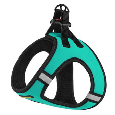 Шлея для собак Bronzedog Sport Vest неопрен 3D сетка, бирюзовая 3XS, 24см, 26 см