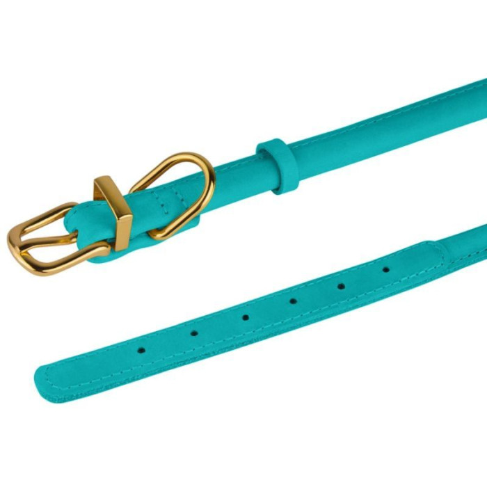 Ошейник для собак круглый кожаный BronzeDog Crazy ментоловый XS, 18-25 см